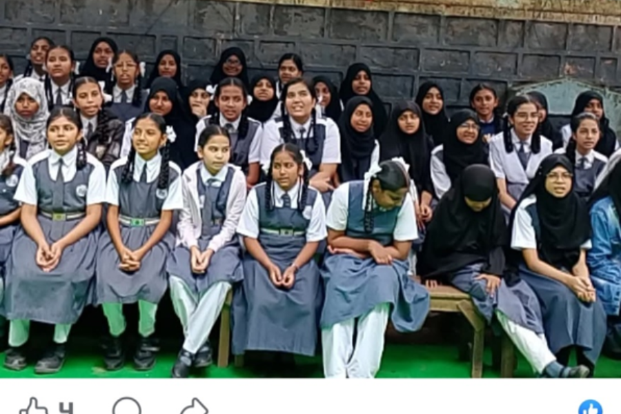 Golden Fiesta Image 10