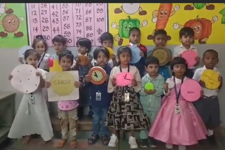 Golden Fiesta Image 29