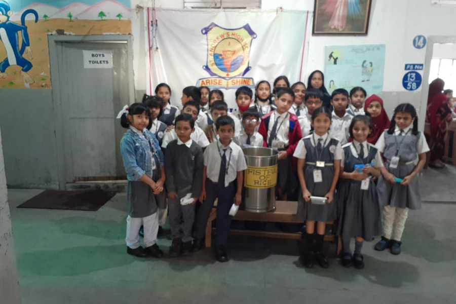 Golden Fiesta Image 31