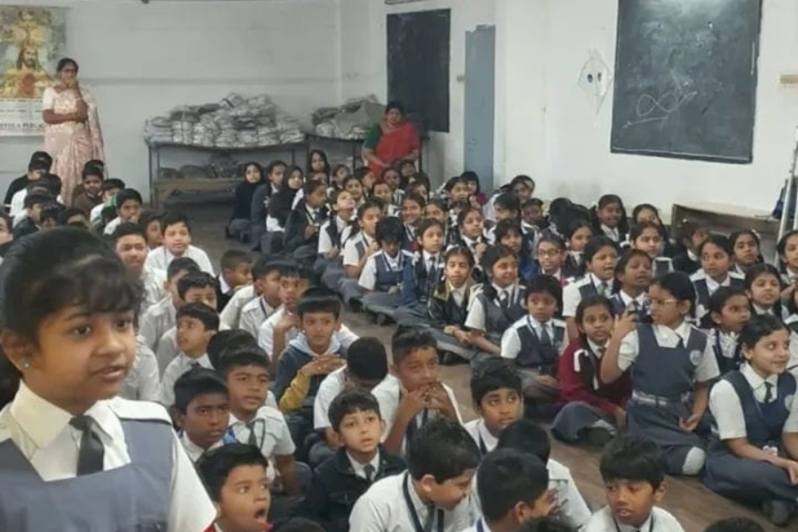 Golden Fiesta Image 1