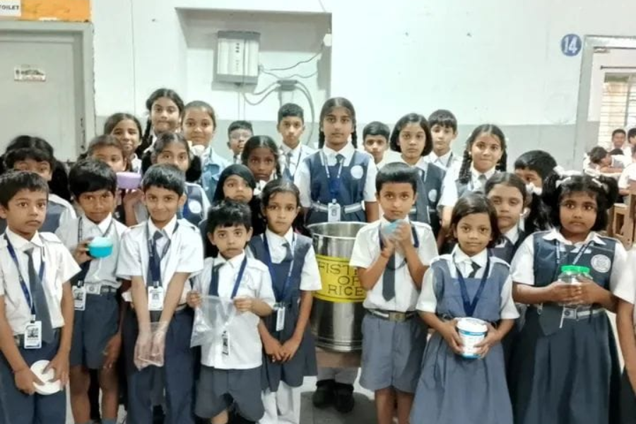 Golden Fiesta Image 2