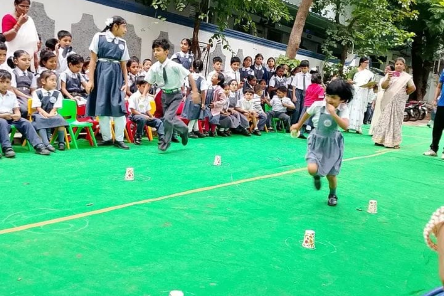 Golden Fiesta Image 5